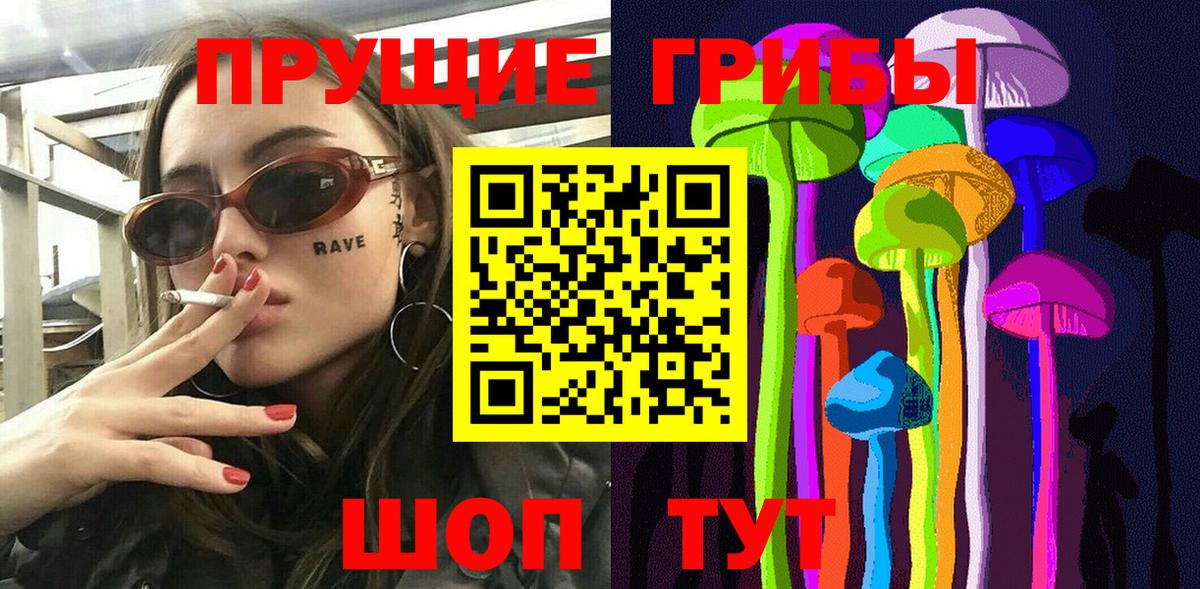 Псилоцибиновые грибы Psilocybe Новосибирск
