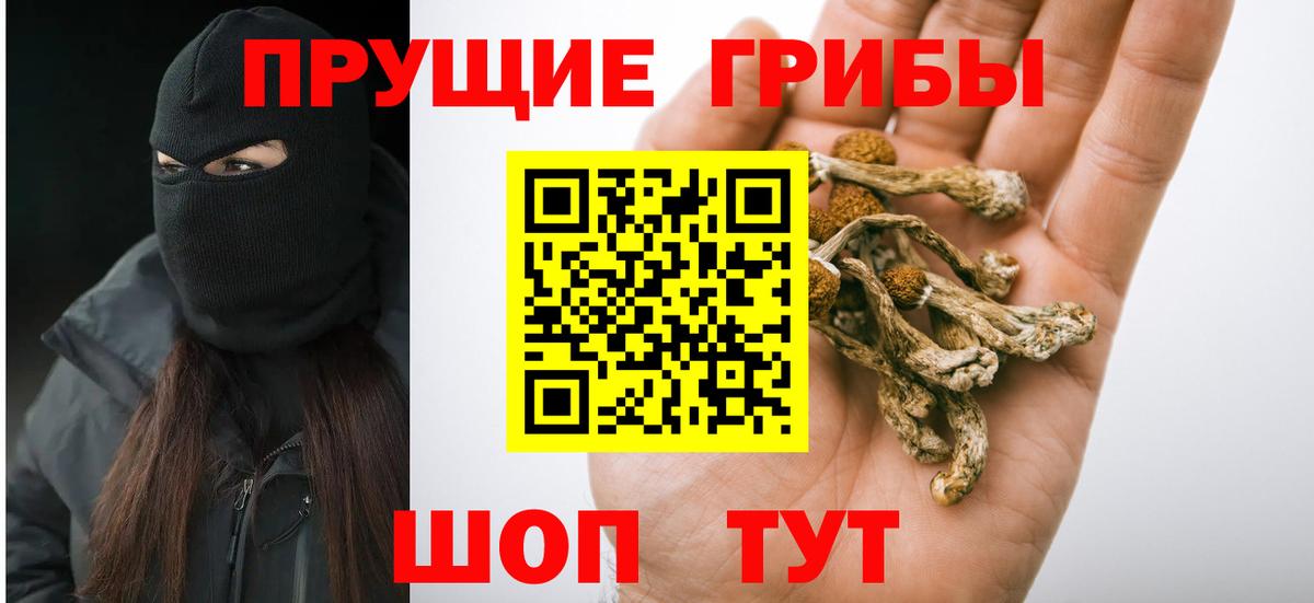 Галлюциногенные грибы Magic Shrooms  Галлюциногенные грибы Psilocybe  Вход с VPN  Новосибирск 